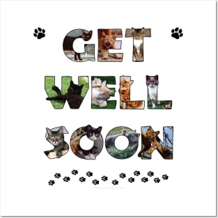 Get Well Soon - mixed cats oil painting word art Posters and Art